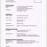 Phänomenal 9 Lebenslauf 9 Klasse