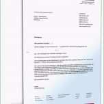 Phänomenal Arbeitszeugnis Kündigung In Probezeit Vorlage Wunderbar