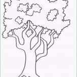 Phänomenal Baum An Wand Malen Vorlagen Bild Der Baum Selber Malen