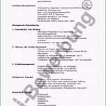 Phänomenal Beispiel Qualifikationsprofil Zur Initiativbewerbung