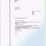 Phänomenal Beschwerde Gegen Einen Steuerbescheid Muster Vorlage Zum