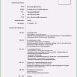 Phänomenal Bewerbung Wissenschaftlicher Mitarbeiter Vorlage Elegant