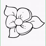 Phänomenal Blume Window Color Vorlage