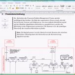 Phänomenal Bpd software Prozessdokumentation software tool Test