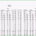 Phänomenal Bwa Excel Vorlage Zur Erstellung Einer Bwa Oder Dbr