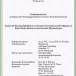 Phänomenal Deckblatt Praktikumsbericht Vorlage Word Papacfo