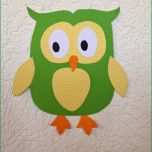 Phänomenal Die Besten 25 Eulen Basteln Vorlage Ideen Auf Pinterest