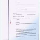 Phänomenal Die Erstaunliche Kündigung Arbeitsvertrag Arbeitgeber