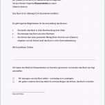 Phänomenal Entwicklungsgesprach Kindergarten Vorlage Protokoll