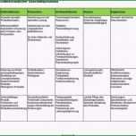 Phänomenal Fmea formblatt Vorlage Genial Charmant Design Fmea Vorlage