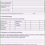 Phänomenal Inventur Vorlage