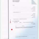 Phänomenal Kaufvertrag Küche