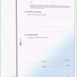 Phänomenal Kaufvertrag Pferd