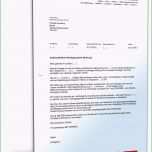 Phänomenal Kündigung Mietvertrag Fristlos Vermieter Mietschuld