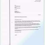 Phänomenal Kundigung Vertrag Vorlage Word 46 Schön Sammlung Expose