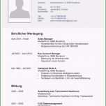 Phänomenal Kündigungsschreiben Arbeitnehmer Vorlage Kostenlos Word