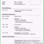 Phänomenal Lebenslauf Schüler Vorlage Word Erstaunlich Einfacher