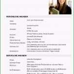 Phänomenal Lebenslauf Student Dokument Blogs