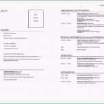 Phänomenal Lebenslauf Vorlagen Headhunter100