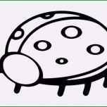 Phänomenal Marienkäfer Vorlage Zum Ausdrucken Beste Schöne