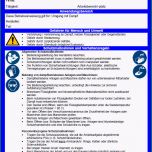 Phänomenal Muster Betriebsanweisungen Mehrsprachig Birett Update