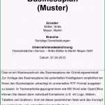 Phänomenal Muster Businessplan