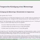 Phänomenal Muster Kündigung Arbeitsvertrag Neues Arbeitsvertrag