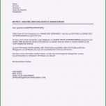 Phänomenal Musterbrief Vorlage