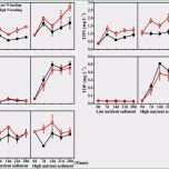 Phänomenal Passwort Excel