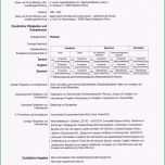 Phänomenal "aspekte Der Germanistik" Europass Lebenslauf