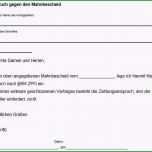 Phänomenal Reklamation Vorlage Word Cool Mahnbescheid Widerspruch