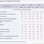 Phänomenal Schön Monatliche Ausgaben Tabelle Vorlage