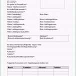 Phänomenal Selbstauskunft Vorlage Word – Kebut