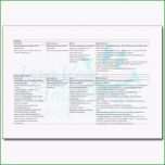 Phänomenal Sis Pflegeplanung Muster Muster Und Vorlage Sis