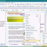 Phänomenal software Dokumentation Vorlage Word New Public Relations