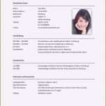 Phänomenal Steckbrief Erzieherin Kindergarten Vorlage Neu 15