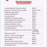 Phänomenal Strafenkatalog Svp Djk Sv Peterskirchen Baumgarten