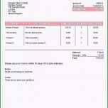 Phänomenal Tagebuch Vorlage Word 30 Schön Muster Website