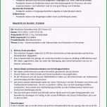 Phänomenal Unglaubliche Protokoll Schreiben Muster