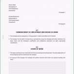 Phänomenal Vollzeit Arbeitsvertrag Englisch Erstellen