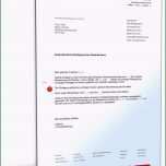 Phänomenal Vorlage Fristlose Kündigung Faszinieren Fristlose