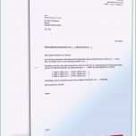 Phänomenal Vorlage Ratenzahlung