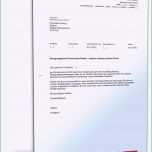 Phänomenal Werbebrief Vorlage Word