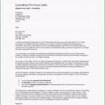 Phänomenal Wissenschaftlicher Lebenslauf Vorlage Akademischer