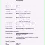 Phänomenal Zeitungsbericht Vorlage