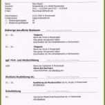 Schockieren 10 Lebenslauf 2016 Muster