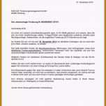 Schockieren 12 Anwaltsschreiben Muster Kostenlos