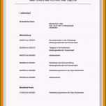 Schockieren 14 Chronologischer Lebenslauf Muster