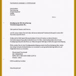 Schockieren 14 Kündigungsschreiben Vorlage Sportverein
