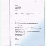 Schockieren 14 Schriftliche Stellungnahme Vorlage